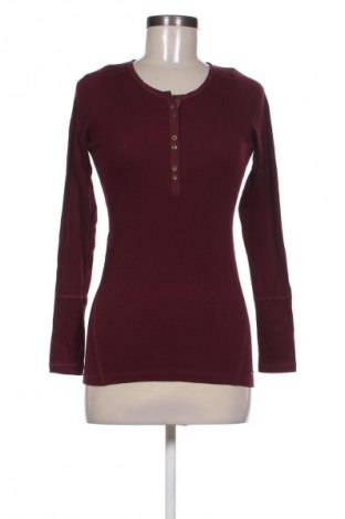 Damen Shirt Hollister, Größe M, Farbe Rot, Preis € 45,62