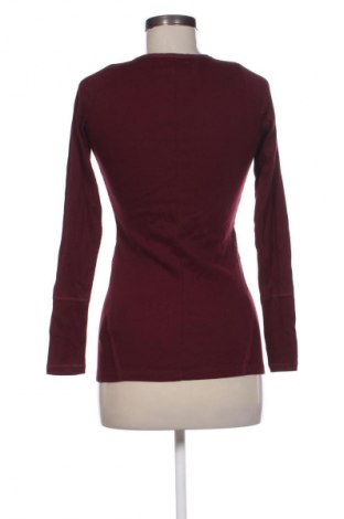 Damen Shirt Hollister, Größe M, Farbe Rot, Preis € 45,62