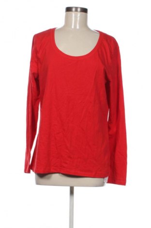 Damen Shirt Janina, Größe XL, Farbe Rot, Preis € 6,99