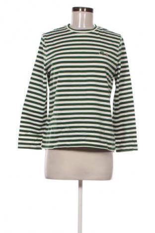 Damen Shirt Lacoste, Größe M, Farbe Mehrfarbig, Preis € 40,99