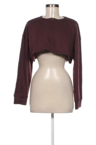 Damen Shirt Missguided, Größe S, Farbe Braun, Preis 9,78 €