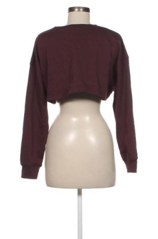 Damen Shirt Missguided, Größe S, Farbe Braun, Preis 9,78 €