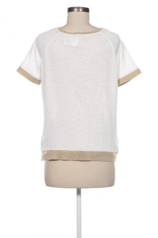 Damen Shirt Passport, Größe L, Farbe Mehrfarbig, Preis € 8,99