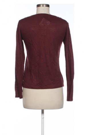 Damen Shirt Petit Bateau, Größe XS, Farbe Mehrfarbig, Preis 55,22 €
