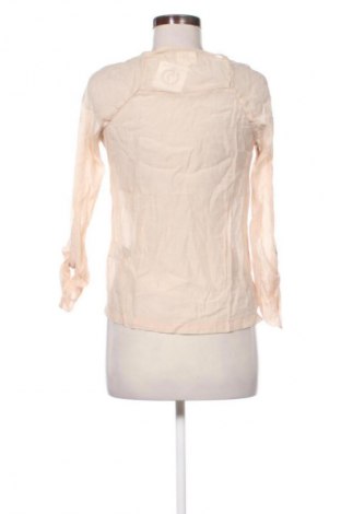 Damen Shirt Quiksilver, Größe XS, Farbe Mehrfarbig, Preis € 29,49