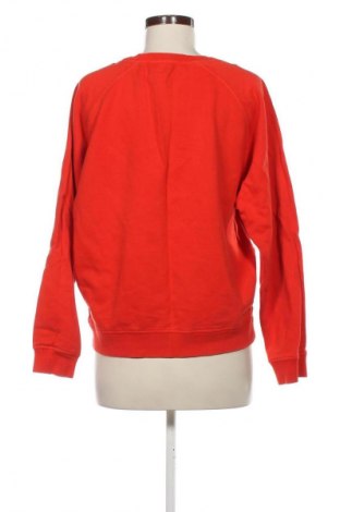 Damen Shirt Scotch & Soda, Größe M, Farbe Mehrfarbig, Preis € 42,01