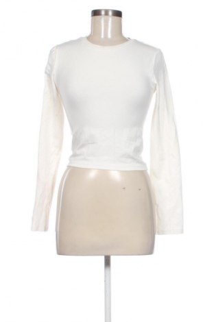 Damen Shirt Sinsay, Größe S, Farbe Ecru, Preis € 10,00