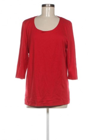 Damen Shirt Street One, Größe XL, Farbe Rot, Preis € 22,99