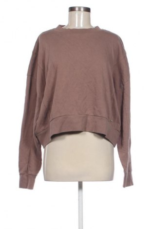 Γυναικεία μπλούζα Superdry, Μέγεθος L, Χρώμα Καφέ, Τιμή 16,47 €