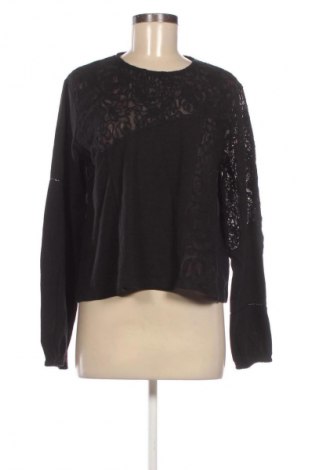 Damen Shirt Superdry, Größe L, Farbe Schwarz, Preis € 16,00