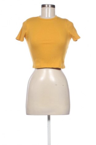 Damen Shirt Terranova, Größe S, Farbe Gelb, Preis € 5,99