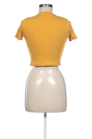 Damen Shirt Terranova, Größe S, Farbe Gelb, Preis € 5,99