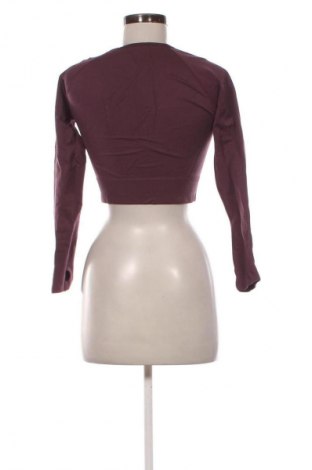 Γυναικεία μπλούζα Unbranded, Μέγεθος L, Χρώμα Σάπιο μήλο, Τιμή 7,99 €