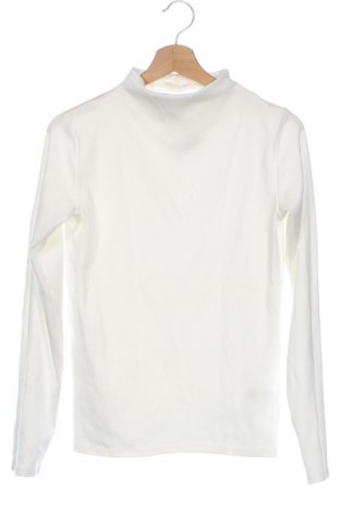 Damen Shirt Zara, Größe XL, Farbe Weiß, Preis € 14,00