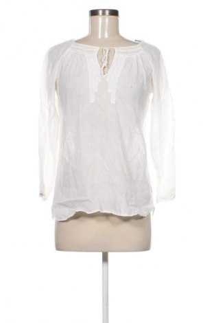 Damen Shirt Zara, Größe XS, Farbe Weiß, Preis € 14,00