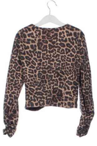 Damen Shirt Zara, Größe XS, Farbe Mehrfarbig, Preis € 13,81