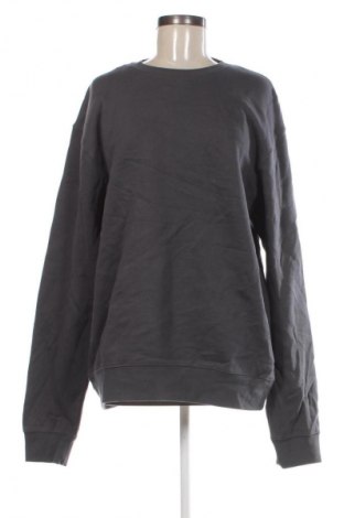 Damen Shirt Zara, Größe XL, Farbe Grau, Preis 32,99 €