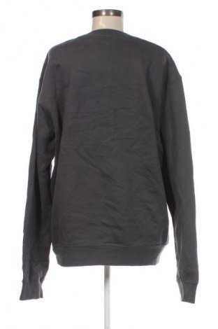 Damen Shirt Zara, Größe XL, Farbe Grau, Preis 32,99 €