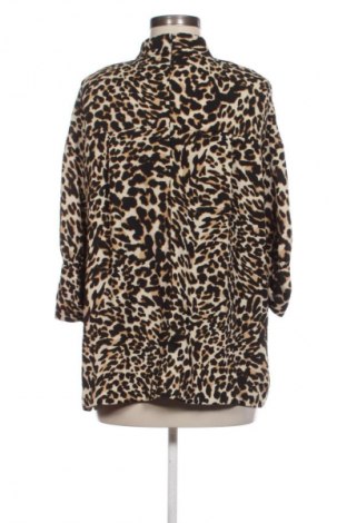 Damen Shirt Zara, Größe M, Farbe Mehrfarbig, Preis € 12,99