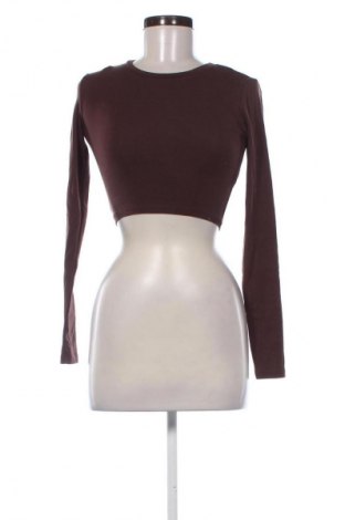 Damen Shirt Zara, Größe S, Farbe Braun, Preis € 14,00