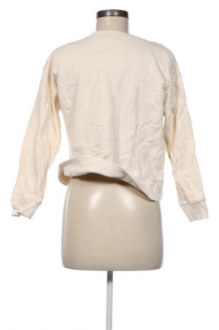 Γυναικεία μπλούζα Zara, Μέγεθος S, Χρώμα Εκρού, Τιμή 8,99 €