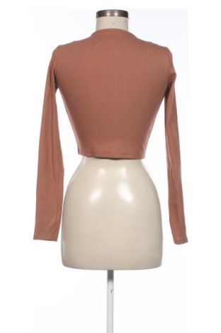 Damen Strickjacke Zara, Größe S, Farbe Braun, Preis € 13,81