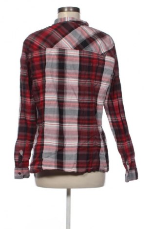 Damenbluse Cecil, Größe XL, Farbe Mehrfarbig, Preis € 21,00