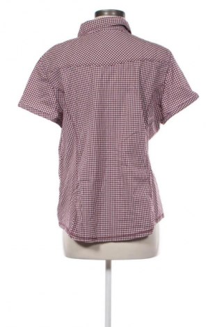 Damenbluse Cecil, Größe XL, Farbe Mehrfarbig, Preis € 17,46