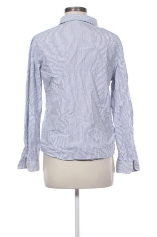 Damenbluse Chocolat, Größe M, Farbe Mehrfarbig, Preis € 10,99