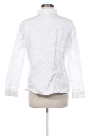 Γυναικείο πουκάμισο Christian Berg, Μέγεθος XL, Χρώμα Λευκό, Τιμή 17,99 €