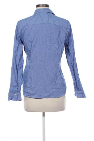 Damenbluse Comma,, Größe L, Farbe Mehrfarbig, Preis € 75,29