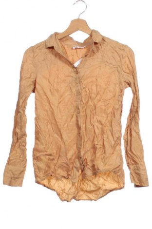 Damenbluse Edited, Größe XS, Farbe Braun, Preis € 20,91