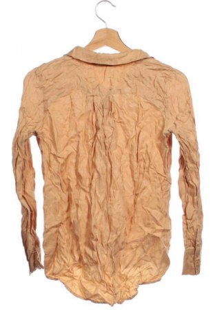 Damenbluse Edited, Größe XS, Farbe Braun, Preis € 20,91