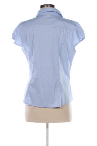 Damenbluse H&M, Größe XL, Farbe Mehrfarbig, Preis 13,00 €