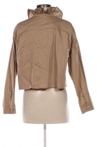 Damenbluse Lumina, Größe S, Farbe Beige, Preis € 21,00
