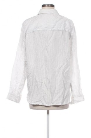 Γυναικείο πουκάμισο MSCH, Μέγεθος M, Χρώμα Πολύχρωμο, Τιμή 14,99 €