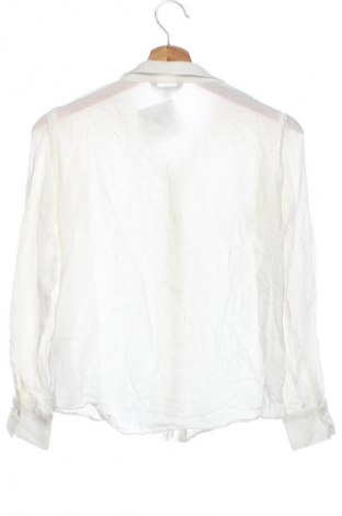 Damenbluse Massimo Dutti, Größe XS, Farbe Ecru, Preis € 28,12