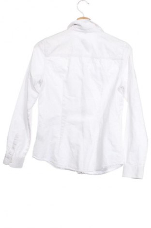 Damenbluse Montego, Größe XS, Farbe Weiß, Preis 12,77 €