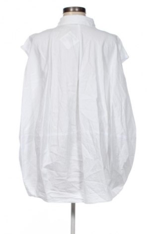 Damenbluse Pause Jeans, Größe M, Farbe Weiß, Preis € 20,96