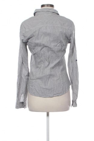 Damenbluse Terranova, Größe L, Farbe Mehrfarbig, Preis € 12,78