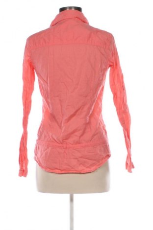 Damenbluse Terranova, Größe S, Farbe Rosa, Preis € 12,78