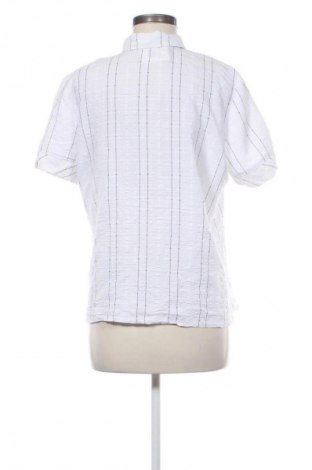 Dámska košeľa  Unbranded, Veľkosť M, Farba Viacfarebná, Cena  12,95 €