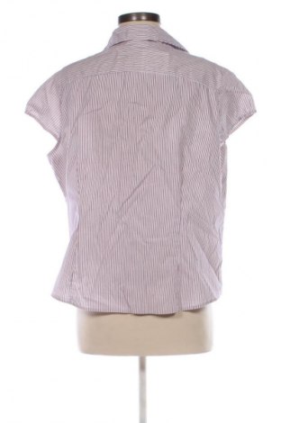 Damenbluse Yessica, Größe XXL, Farbe Mehrfarbig, Preis € 12,78