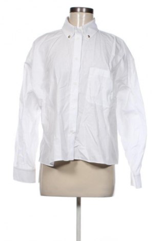 Damenbluse Zara, Größe L, Farbe Weiß, Preis € 9,99