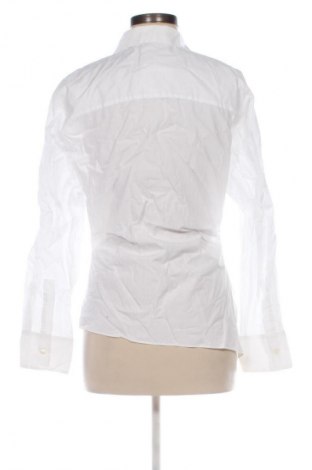 Damenbluse Zara, Größe L, Farbe Weiß, Preis € 13,81