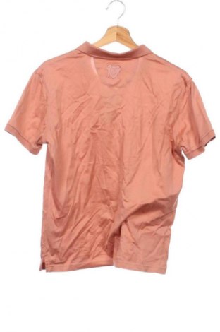Damen T-Shirt Carducci, Größe S, Farbe Braun, Preis € 9,20