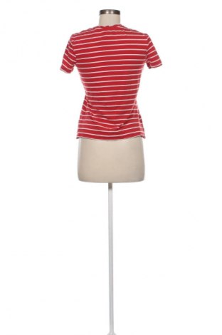 Damen T-Shirt Esprit, Größe M, Farbe Mehrfarbig, Preis € 12,00