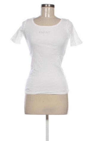 Damen T-Shirt Esprit, Größe XS, Farbe Weiß, Preis 9,21 €