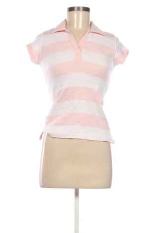 Damen T-Shirt Kangol, Größe M, Farbe Mehrfarbig, Preis € 10,26