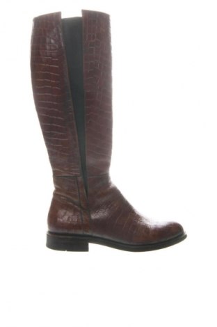 Dámske topánky  Dasha, Veľkosť 37, Farba Hnedá, Cena  76,95 €